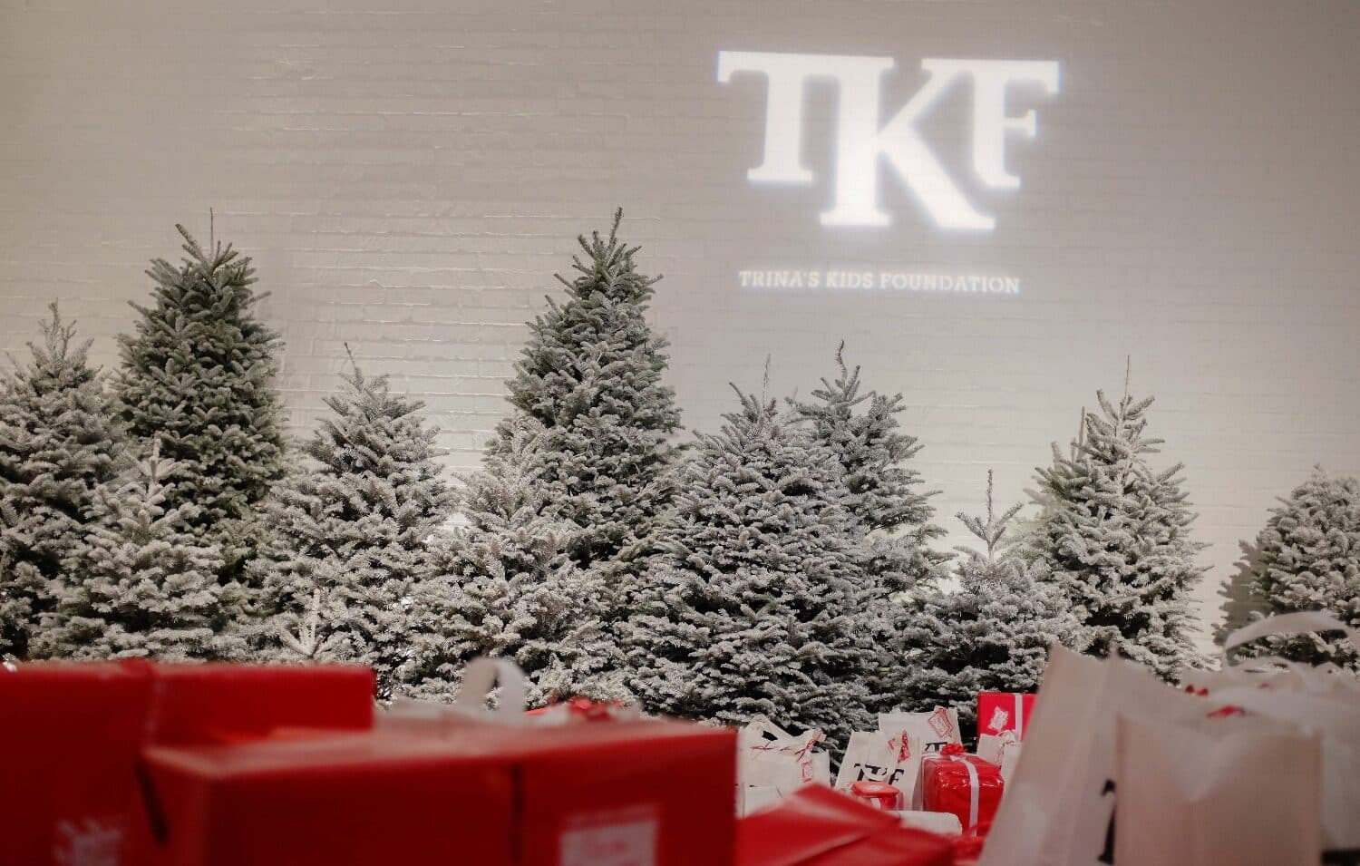 Trina's Kids event photo — Gift Giving 2016