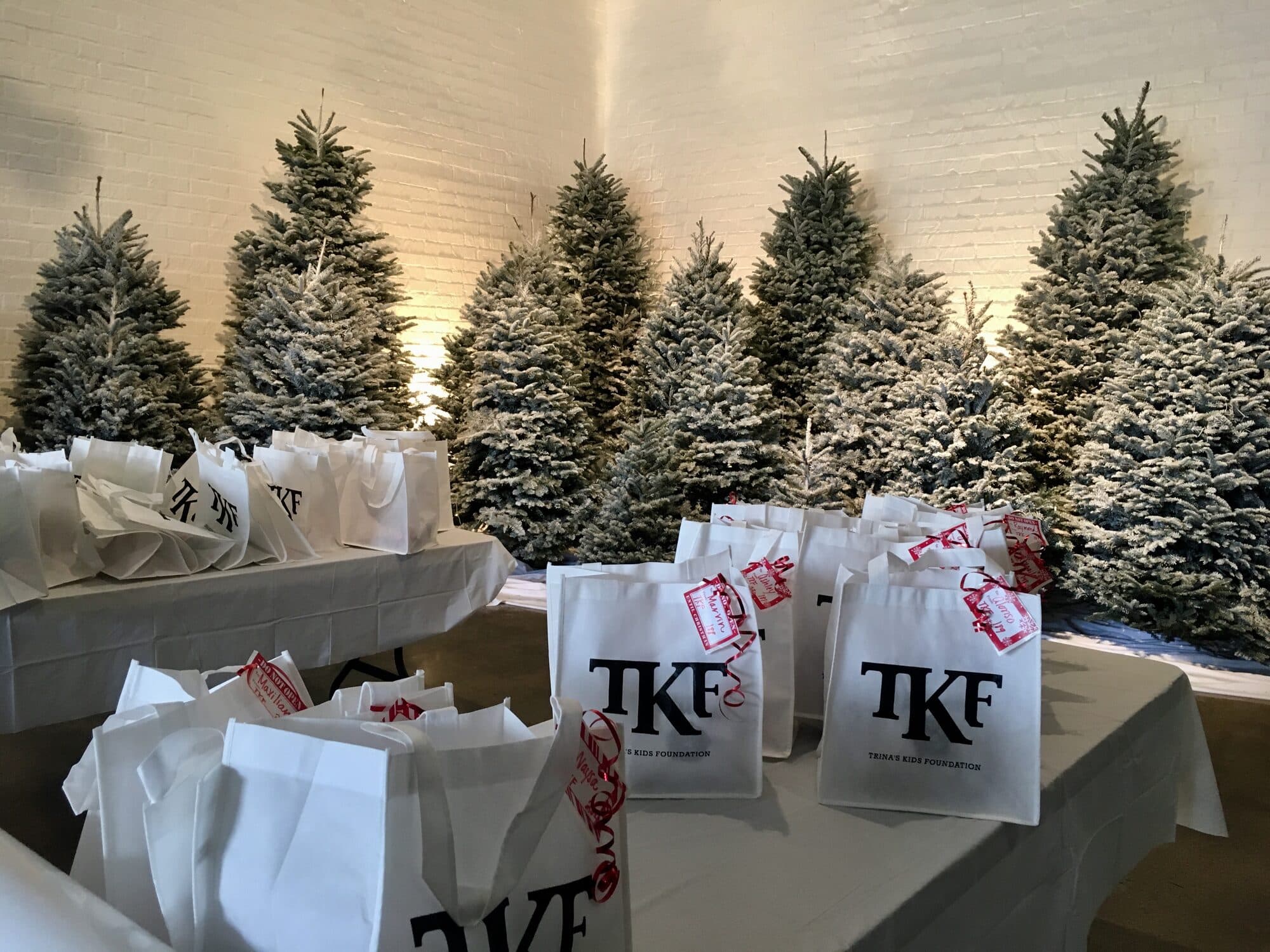Trina's Kids event photo — Gift Giving 2016